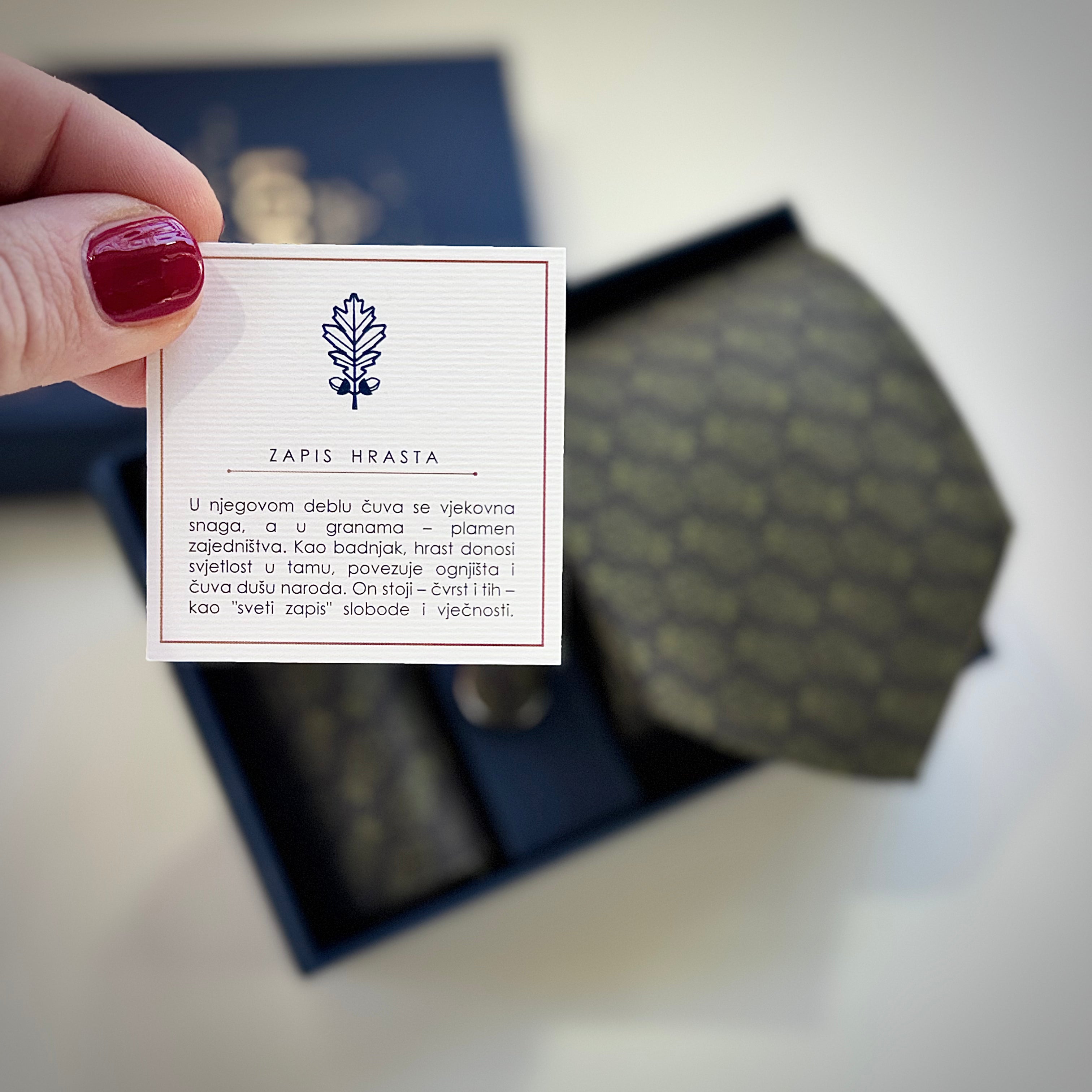 Set svilena kravata i pin ZAPIS HRASTA